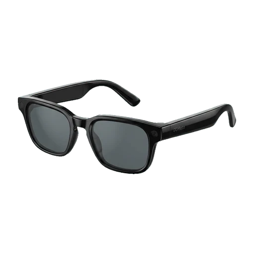 Meta Glasses